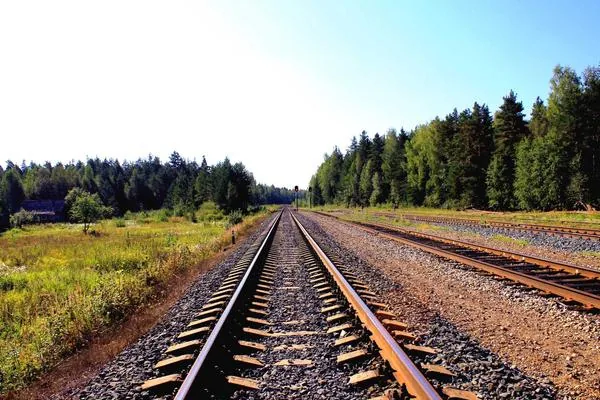 Câbles électriques